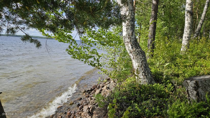 Asuntoilmoituksen kuva