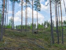 Savonlinna, Kiviapaja, Suuri Siikajärvi