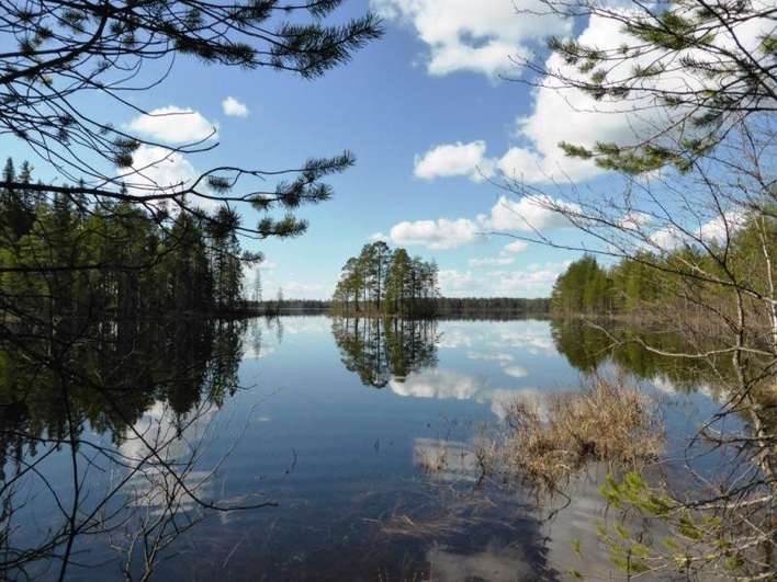 Tontti, 5 600 m², Piispajärvi