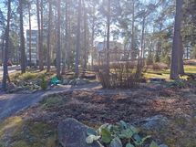 Yhtiön etupihalla hoidettu ja viihtyisä oleskelualue