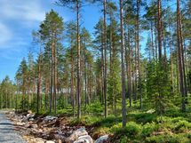 Kannus, Lehtoranta Niemeläntie
