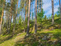 Savonlinna, Kiviapaja, Siikavesi