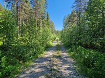 Sotkamo, Pieni-Kiimanen, Kaitainsami