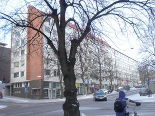 Kohdekuva