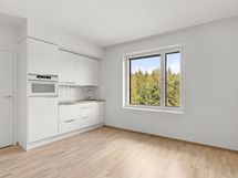 sivuasunnon keittiö