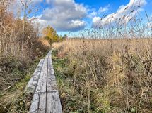 Lähellä ihania puistoalueita ulkoiluun sekä myös Laajalahden luonnonsuojelualue, josta tämä kuva.