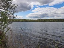 Saarijärvi, Kiesimenjärvi