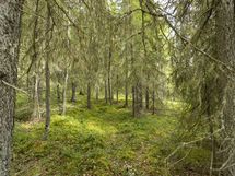 Rovaniemi-Karjalanjärvi