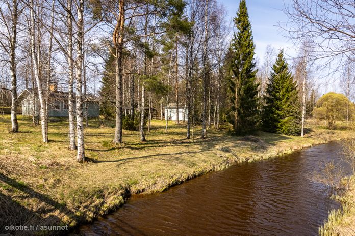 Asuntoilmoituksen kuva