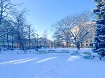 Linnankoskenpuisto ja myös muita puistoja sijaitsee aivan tämän kodin lähellä.