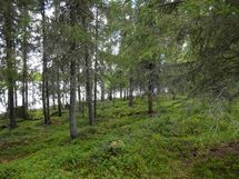 Rovaniemi-Karjalanjärvi