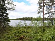 Saarijärvi, Kiesimenjärvi
