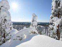 Taivalkoski. Kuva Petri Vuotilainen. 