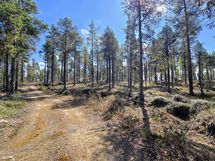 Ajettava tiepohja hiekkakuopalle saakka