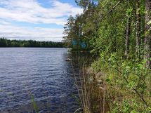 7-6 niemi tontin 7-6 suunasta