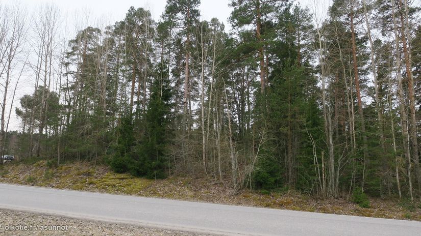 Asuntoilmoituksen kuva