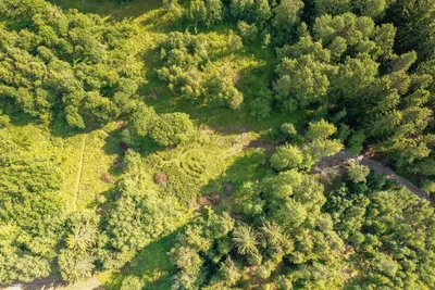 Tontti, 1,33 ha, Hangelby - View 4