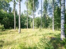 Heinävesi, Karvio, Virranniemi