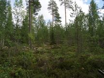 Sonkajärvi, Raudanvesi