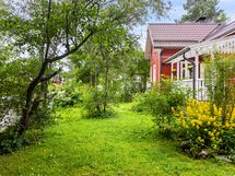 Kesäkuvia