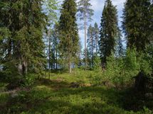 Sonkajärvi, Laakajärvi
