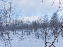 Enontekiö, Kilpisjärvi, Saanajoki