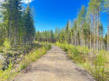 näkymiä oman tien varrelta