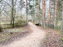 Rauhoittumista arjen keskellä – Vanhankaupunginkoski tarjoaa upeat ulkoiluhetket ja maisemat!