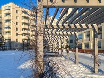 Piha-alue on viihtyisä ja siellä on tekemistä kaiken ikäisille.