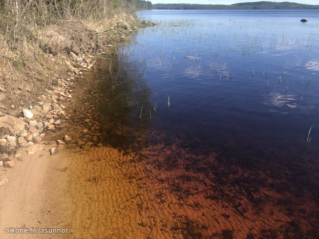 Asuntoilmoituksen kuva