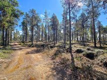 Ajettava tiepohja hiekkakuopalle saakka