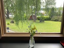 näkymä keittiön ikkunasta