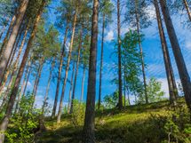 Savonlinna, Kiviapaja, Siikavesi