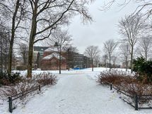 Alueella on paljon puistoja ja ulkoilumahdollisuuksia. Lähin puisto on vastapäätä taloyhtiötä.