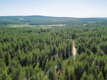 Pudasjärvi, Syöte, Pytkynharju