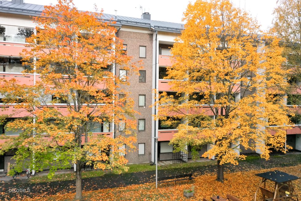 Kohdekuva