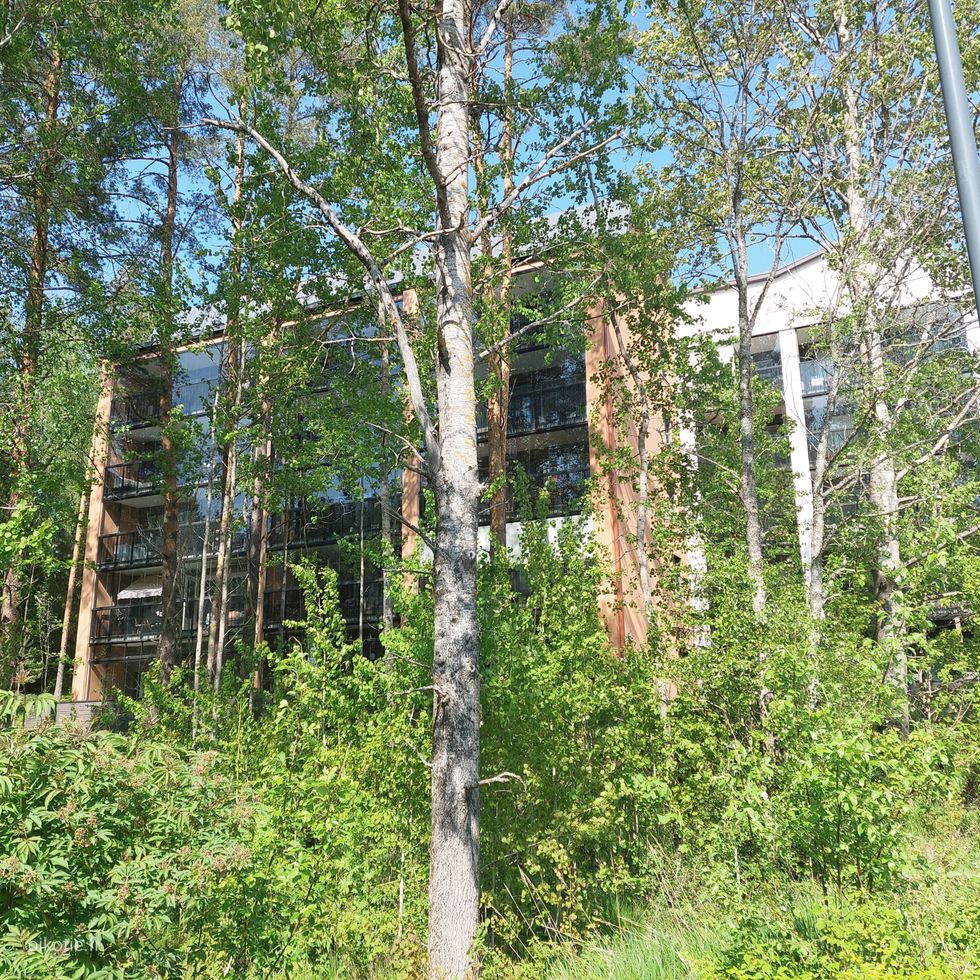 Kohdekuva