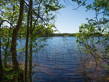 Heinävesi, Jänisvesi, Palokki