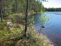 Suomussalmi, Kaunisniemi-Merkkivirta
