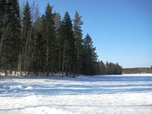 Kaavi, Kaavi Autiosaari
