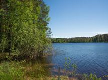 Heinävesi, Jänisvesi, Palokki