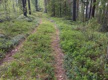 Puolanka, Pirttijärvi