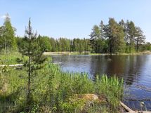 Leppävirta, Konnusvesi, Pirttikoski