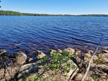 Sotkamo, Pieni-Kiimanen, Kaitainsami