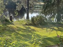 Myyjän kesäkuvia