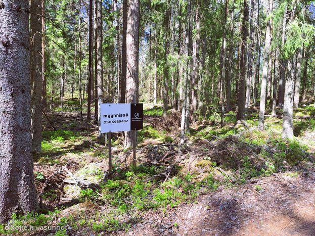 Asuntoilmoituksen kuva