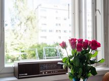 Ikkunan näkymät rauhaisalle sisäpihalle