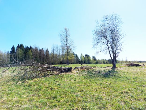 Asuntoilmoituksen kuva