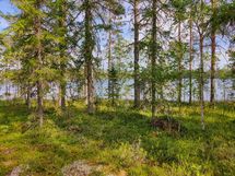 Rautavaara, Ahveninen, Puutisenlahti