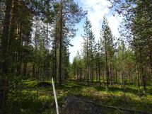 Kemijärvi, Soppela, Ketovaara
